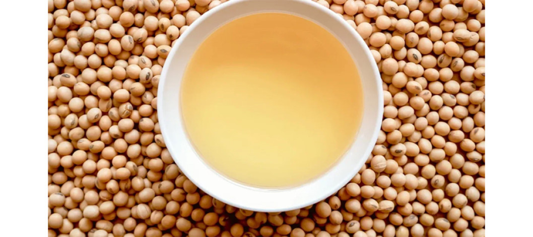 Export Sales to South Korea