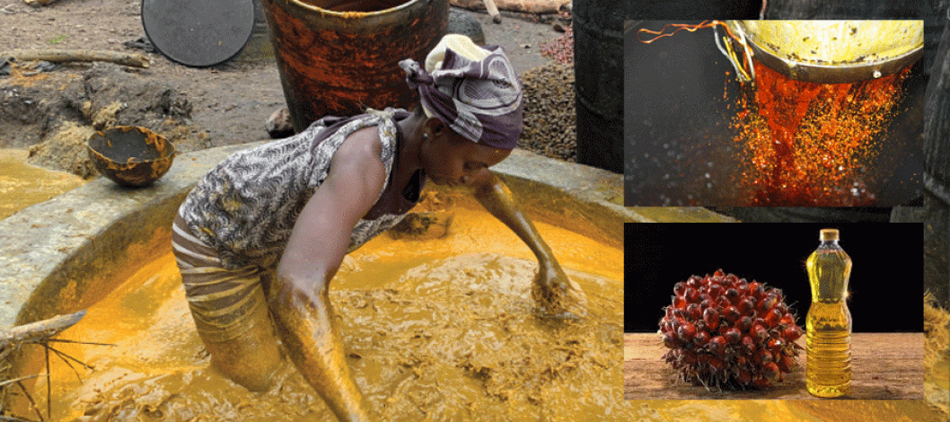 Palm posts weekly drop, weighed down by rival oils