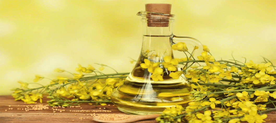 Effects of Canola Oil on Vascular and Metabolic Parameters in Individuals With Metabolic Syndrome