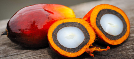 Weak global palm oil demand has pushed down prices in the local market