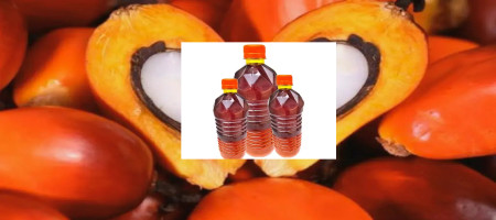 Indonesia to raise crude palm oil export duty to fund biodiesel and replanting initiatives