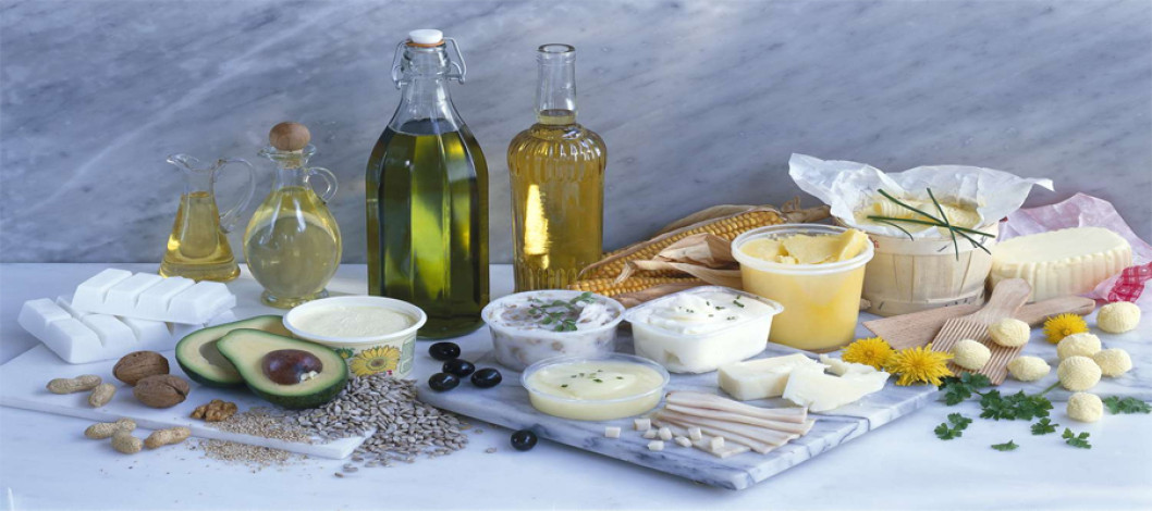 Feature on Fats and Oils